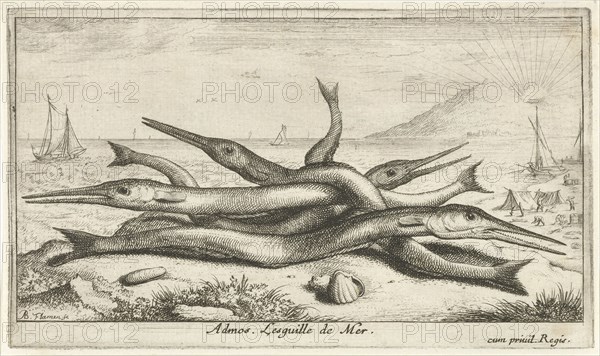 Gars on the beach, Albert Flamen, Jacques van Merlen, Lodewijk XIV (koning van Frankrijk), 1664