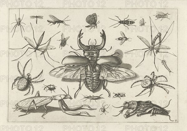 Insects, Jacob Hoefnagel, Joris Hoefnagel, Claes Jansz. Visscher (II), 1630