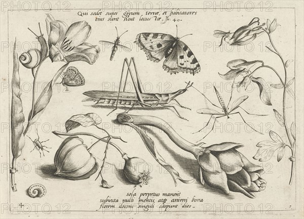 Animals and plants around a grasshopper and a artishock, Jacob Hoefnagel, Joris Hoefnagel, 1592