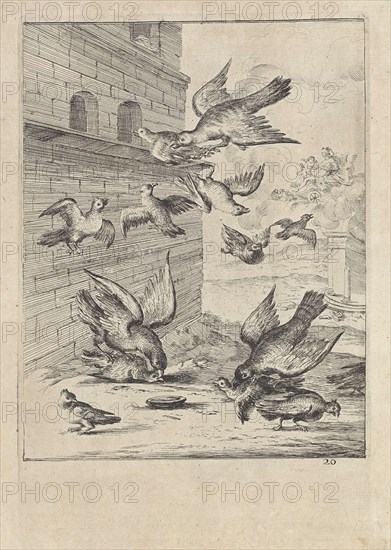 Fable of the doves and the hawks, Dirk Stoop, John Ogilby, 1665