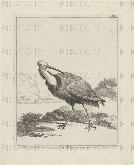 Turkey, Simon Fokke, 1722 - 1784