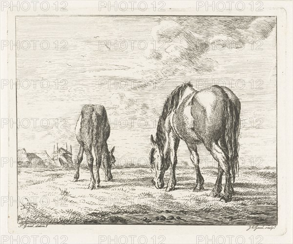 Two grazing horses, Jacobus Cornelis Gaal, 1851