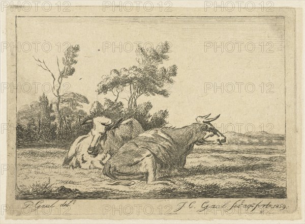 Two white cows lying in front of a group of trees, Jacobus Cornelis Gaal, 1859