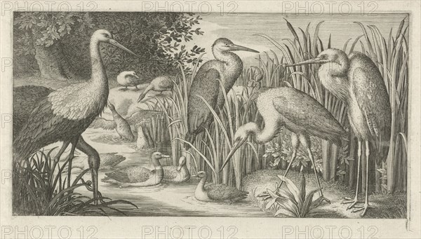 Storks and ducks at a pond, Jan van Londerseel, 1580 - 1625