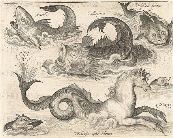 Fantastic invertebrates, including a seahorse, Nicolaes de Bruyn, 1581 - 1656