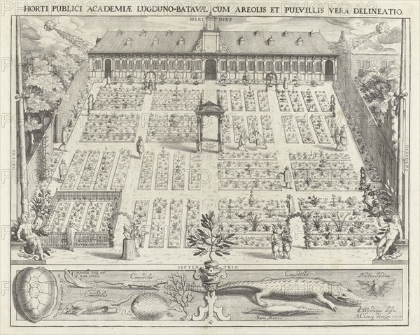 Hortus Botanicus of Leiden University, The Netherlands, Willem Isaacsz. van Swanenburg, Andries Clouck, 1610