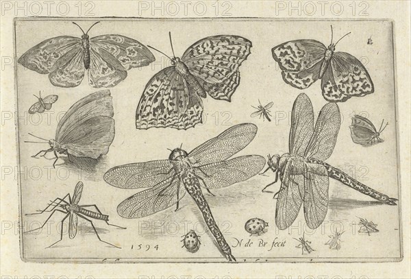 Butterflies and dragonflies, Nicolaes de Bruyn, 1594