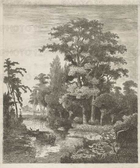 Forest scene with two ducks nesting in a river, Hermanus Jan Hendrik van Rijkelijkhuysen, 1861