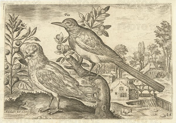 Two birds in a landscape, Adriaen Collaert, 1598 - 1602