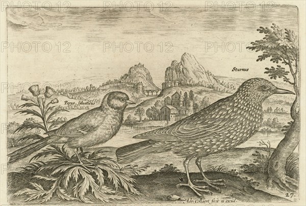 Two birds in a landscape, Adriaen Collaert, 1598 - 1602