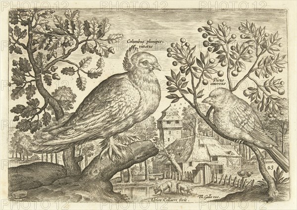 Two birds in a landscape, Adriaen Collaert, 1598 - 1618