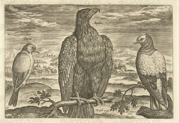 Three birds in a landscape, print maker: Adriaen Collaert, Theodoor Galle, 1598 - 1618