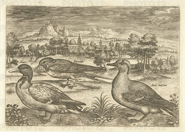 Some birds in a landscape, Adriaen Collaert, 1598-1618