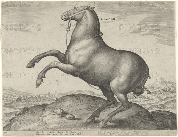 Horse from Scythia, Hieronymus Wierix, Philips Galle, c. 1583 - c. 1587