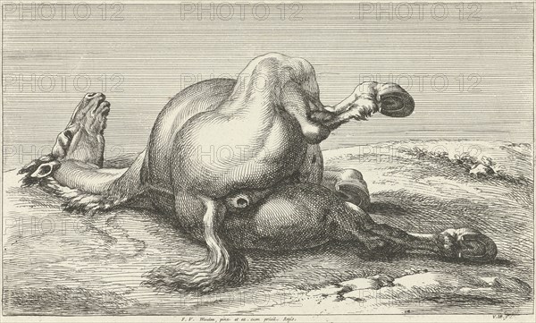 Killed horse, Jan van Huchtenburg, Adam Frans van der Meulen, unknown, 1674 - 1733