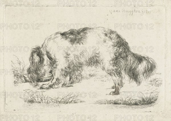 Drinking dog, Guillaume Anne van der Brugghen, 1832