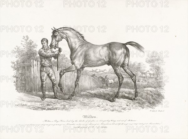 Horse, Ali, cheval arabe Envoye par le Sultan de Muscat a Mr le Baron de Capellen ... gouverneur general des Grandes Indes aÂ  Batavia. Carle Vernet, Delpech, 1768 - 1836