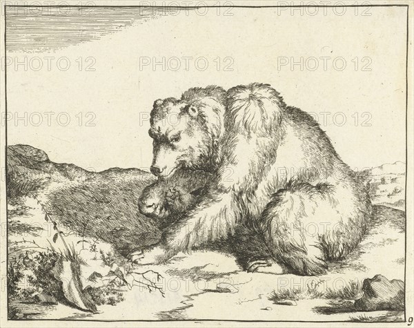 Sitting Bear, and profil, print maker: Marcus de Bye, Marcus Gerards I, 1664