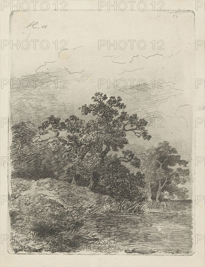 Forest scene with a lake, print maker: Remigius Adrianus Haanen, 1848