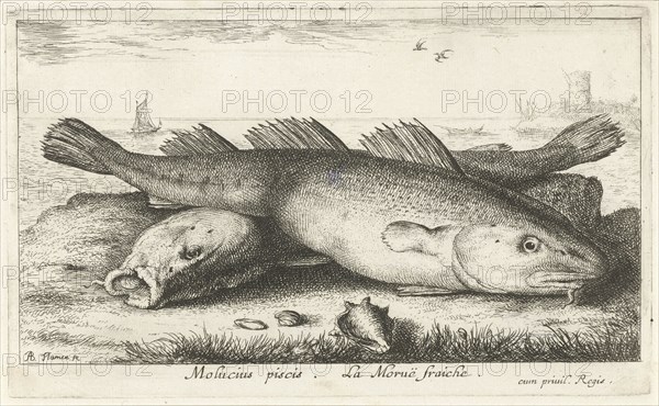 Two codfish at the beach, Albert Flamen, 1664