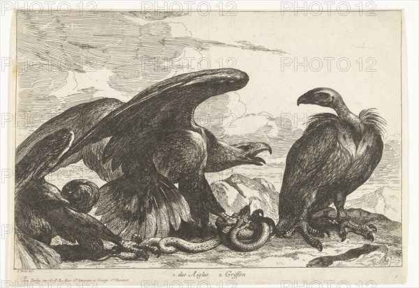 Vulture and an eagle with snake, print maker: Peeter Boel attributed to, Peeter Boel, De Poilly, 1670 - 1674