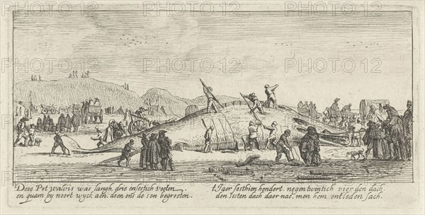 Whale stranded in Noordwijk, The Netherlands 1629, Anonymous, 1629