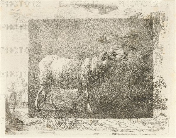 Single sheep, Frédéric Théodore Faber, 1806