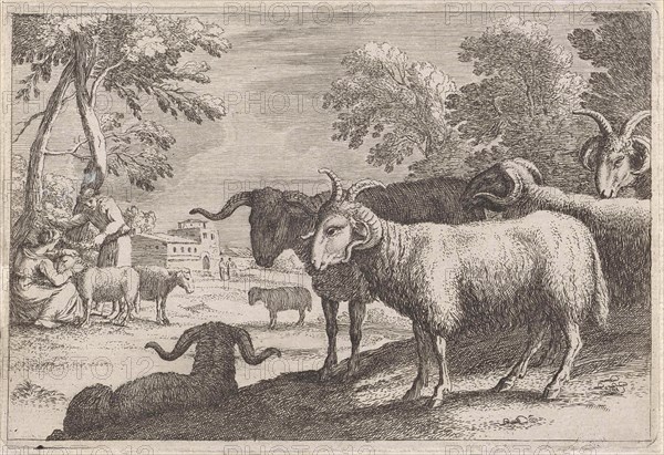 Rams, Anonymous, Herman van Swanevelt, 1636 - 1705