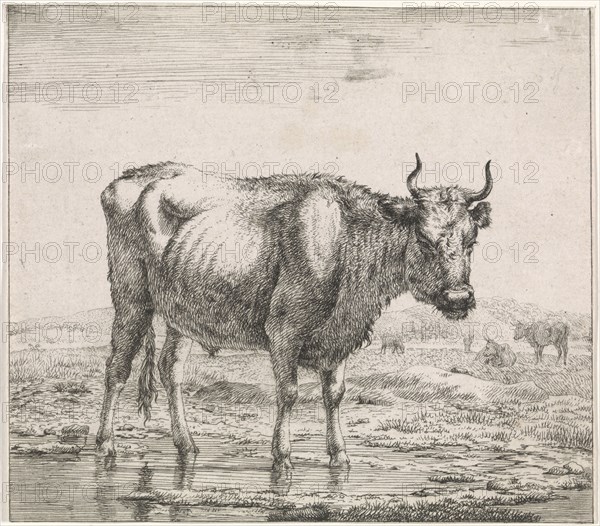 ox standing in the water, Adriaen van de Velde, Anonymous, 1659 - 1709