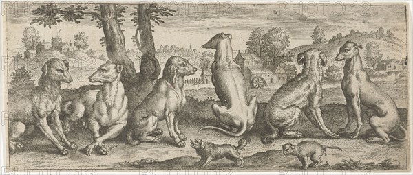 Dogs, possibly Abraham de Bruyn, after 1583