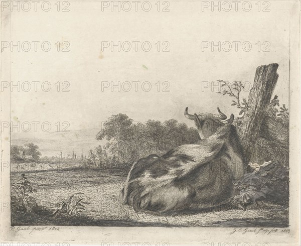 Spotted cow lying near a wooden pole, Jacobus Cornelis Gaal, 1853
