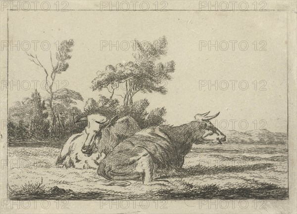 Two white cows lying in front of a group of trees, Jacobus Cornelis Gaal, Pieter Gaal, 1859