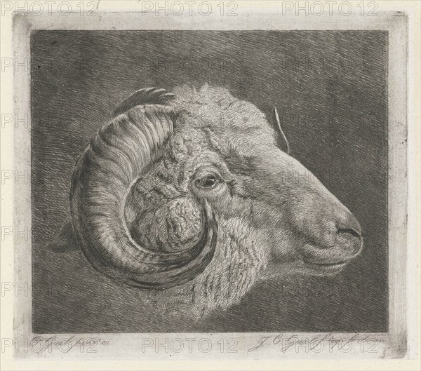 Head of a ram to the eye curved horn, print maker: Jacobus Cornelis Gaal, Pieter Gaal, 1855