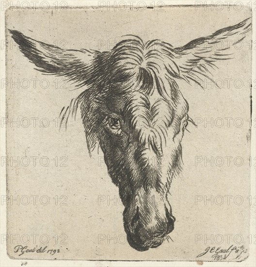 Head of a donkey, Jacobus Cornelis Gaal, Nicolaes Pietersz. Berchem, 1854