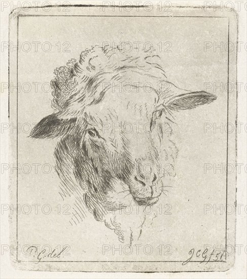 Head of a sheep, Jacobus Cornelis Gaal, 1851