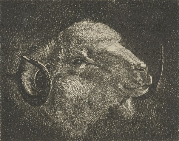 Head of a ram with twisted horns backward, Jacobus Cornelis Gaal, 1858