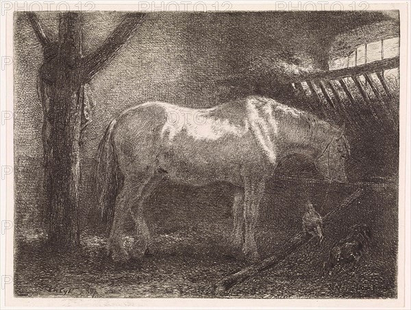 Horse in stable, Jan Vrolijk, 1860 - 1894