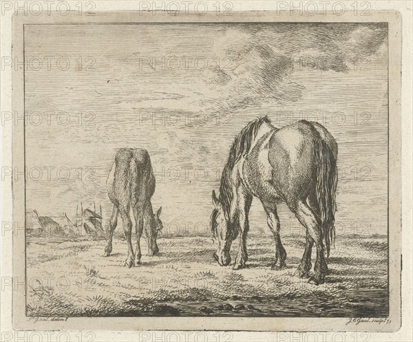 Two grazing horses, Jacobus Cornelis Gaal 1851, print maker: Jacobus Cornelis Gaal, Pieter Gaal, 1851