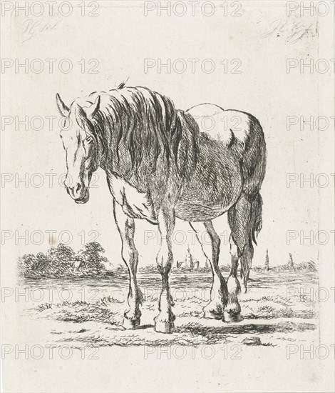 Single white horse, Jacobus Cornelis Gaal, 1860