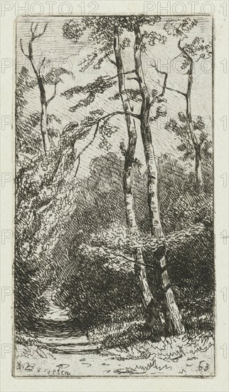 Landscape with birch, print maker: Jan Willem van Borselen