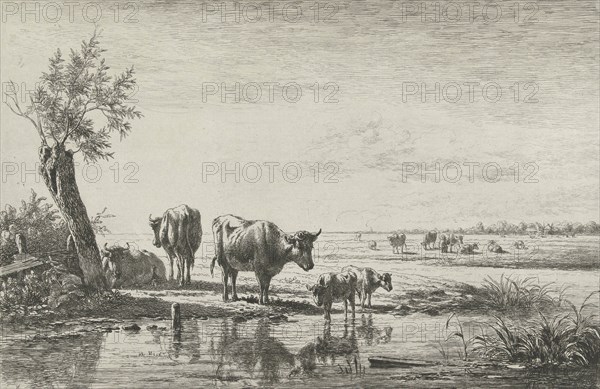 Meadow Landscape with cows in water, Simon van den Berg, 1822-1891