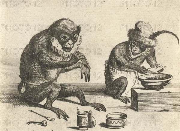 A monkey, print maker: Quirin Boel, David Teniers II, 1635 - 1690