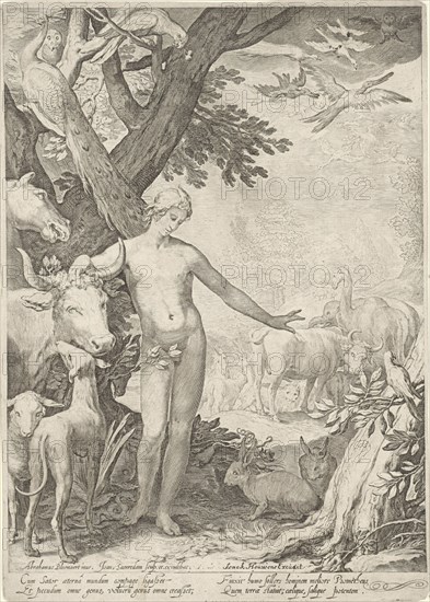 Adam stands in the foreground, around him all kinds of animals bull, dog, Schapp, snake, rabbit, pope, parrot, elephant, lion, unicorn, camel, birds, first of a six-part series on the story of Adam and Eve, print maker: Jan Saenredam (mentioned on object), Dating 1690 - 1750