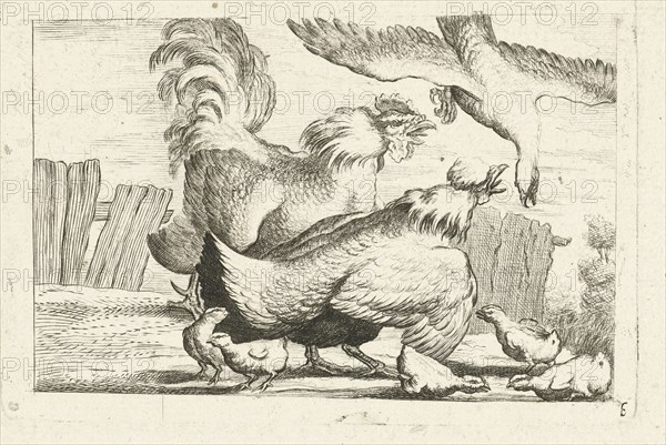 Falcon, group of chickens, chicks, Peter Casteels III, c. 1700 - before 1749