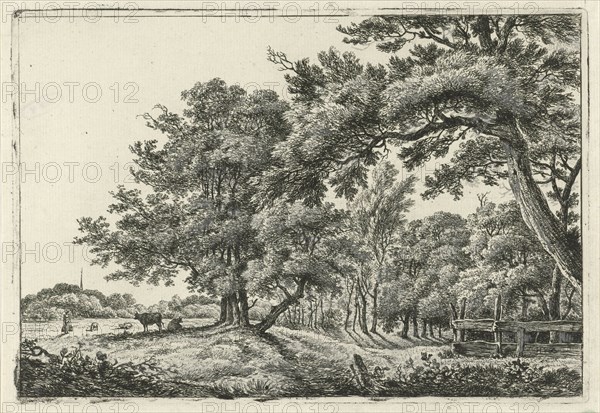 Landscape with two cows in the shade, print maker: Hermanus Fock, 1781 - 1822