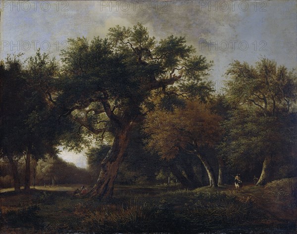 View of a Forest, Jan van Kessel (1641-1680), 1660 - 1680