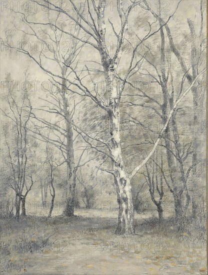 Forest of birch trees, Alphonse Stengelin, 1875 - 1910