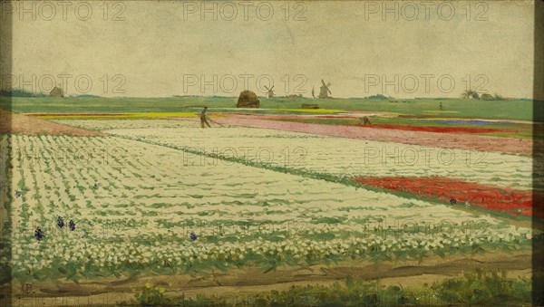 Tulip Fields, Gerrit Willem Dijsselhof, 1890 - 1922