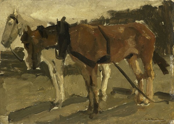 A brown and white horse in Scheveningen, The Netherlands, George Hendrik Breitner, c. 1880 - c. 1923