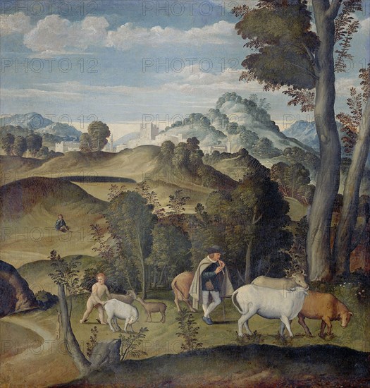Young Mercury Stealing Cattle from Apollo's Herd, attributed to Girolamo da Santa Croce, 1530 - 1550